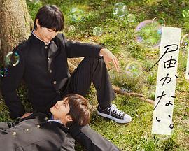 多久可以学会谷歌SEO